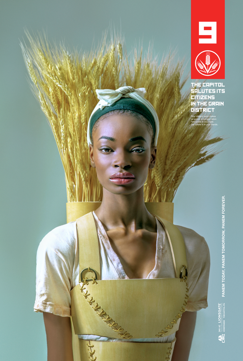 Illustration for article titled A Gorgeous Look at the Rest of Panem in the Latest The Hunger Games Art
